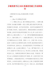 乡镇党委书记2025抓基层党建工作述职报告