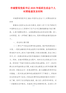 市城管局党组书记2025年组织生活会个人对照检查发言材料