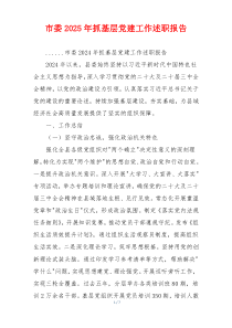 市委2025年抓基层党建工作述职报告