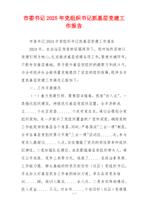 市委书记2025年党组织书记抓基层党建工作报告