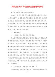 局党组2025年度基层党建述职报告