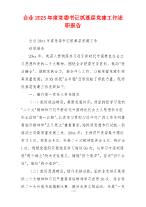 企业2025年度党委书记抓基层党建工作述职报告