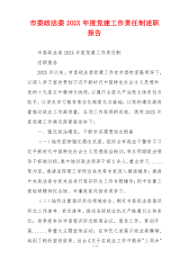 市委政法委202X年度党建工作责任制述职报告