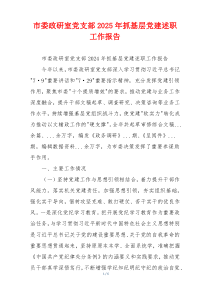 市委政研室党支部2025年抓基层党建述职工作报告