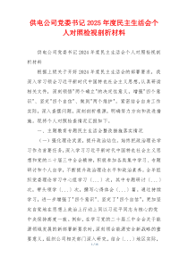 供电公司党委书记2025年度民主生活会个人对照检视剖析材料