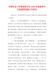 市委社会工作部党组书记2025年党组织书记抓基层党建工作报告