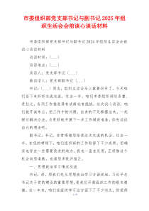 市委组织部党支部书记与副书记2025年组织生活会会前谈心谈话材料