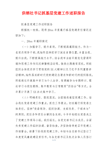 供销社书记抓基层党建工作述职报告