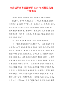 市委组织部常务副部长2025年抓基层党建工作报告