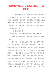 党员领导干部2025年度组织生活会个人对照检查