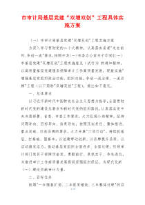 市审计局基层党建“双增双创”工程具体实施方案