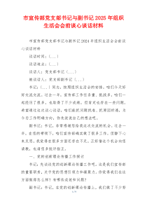 市宣传部党支部书记与副书记2025年组织生活会会前谈心谈话材料