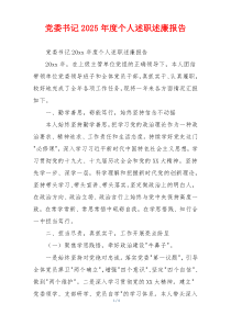 党委书记2025年度个人述职述廉报告