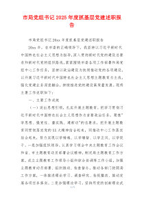 市局党组书记2025年度抓基层党建述职报告