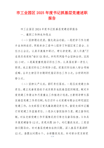 市工业园区2025年度书记抓基层党建述职报告