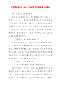 党委副书记2025年度述职述廉述德报告