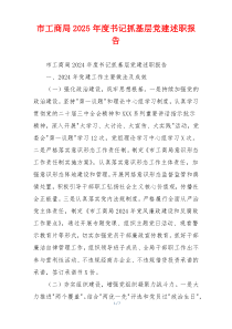 市工商局2025年度书记抓基层党建述职报告