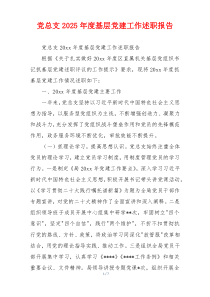 党总支2025年度基层党建工作述职报告