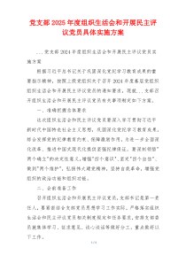 党支部2025年度组织生活会和开展民主评议党员具体实施方案