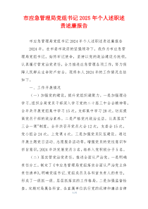市应急管理局党组书记2025年个人述职述责述廉报告
