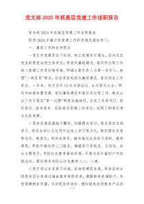 党支部2025年抓基层党建工作述职报告