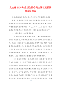 党支部2025年组织生活会民主评议党员情况总结报告