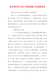 党支部书记2025年度党建工作述职报告