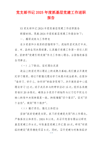 党支部书记2025年度抓基层党建工作述职报告