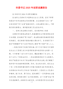 市委书记2025年述职述廉报告