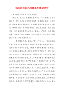 党支部书记抓党建工作述职报告