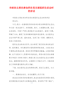 市政协主席在参加所在党支部组织生活会时的讲话
