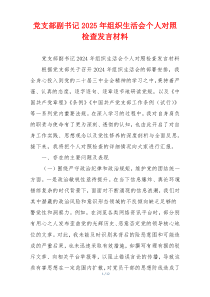 党支部副书记2025年组织生活会个人对照检查发言材料