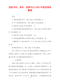 党组书记、局长、党委书记2025年述法报告整理