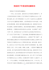 党组班子年度述职述廉报告
