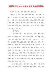 党组织书记2025年度抓基层党建述职报告
