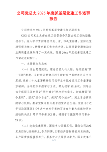 公司党总支2025年度抓基层党建工作述职报告