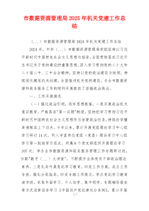 市数据资源管理局2025年机关党建工作总结