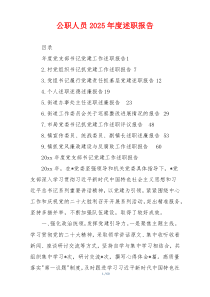 公职人员2025年度述职报告