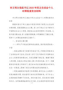 市文明办党组书记2025年民主生活会个人对照检查发言材料