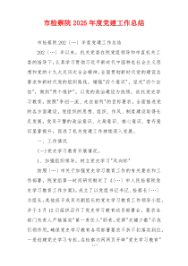 市检察院2025年度党建工作总结