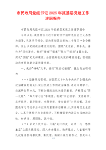 市民政局党组书记2025年抓基层党建工作述职报告