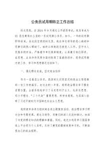 公务员试用期转正工作总结