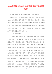 市水利局党组2025年抓基层党建工作述职报告