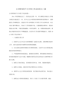 公司财务的个人年度工作总结范文三篇