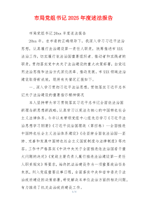 市局党组书记2025年度述法报告