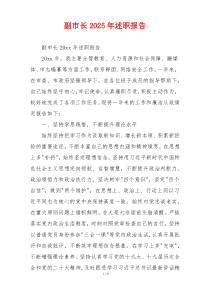 副市长2025年述职报告