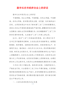 副市长在市政府全会上的讲话