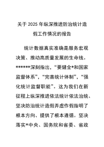 关于2025年纵深推进防治统计造假工作情况的报告