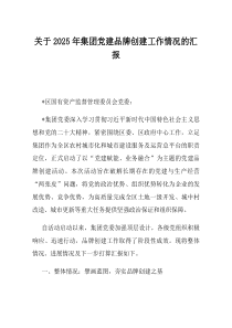 关于2025年集团党建品牌创建工作情况的汇报