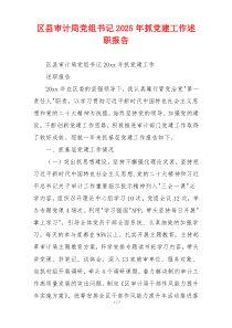 区县审计局党组书记2025年抓党建工作述职报告